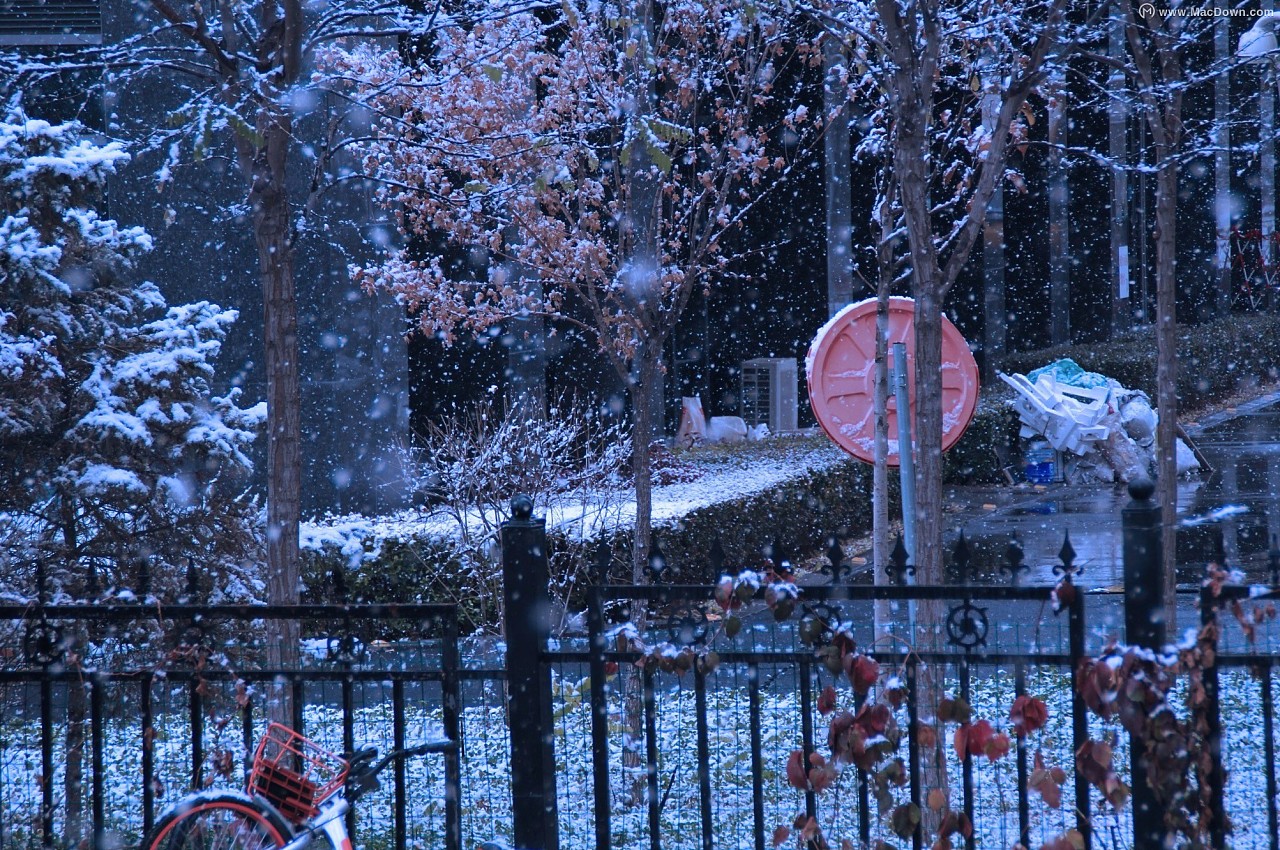 2019年峨眉山第一场雪 不可言喻的美