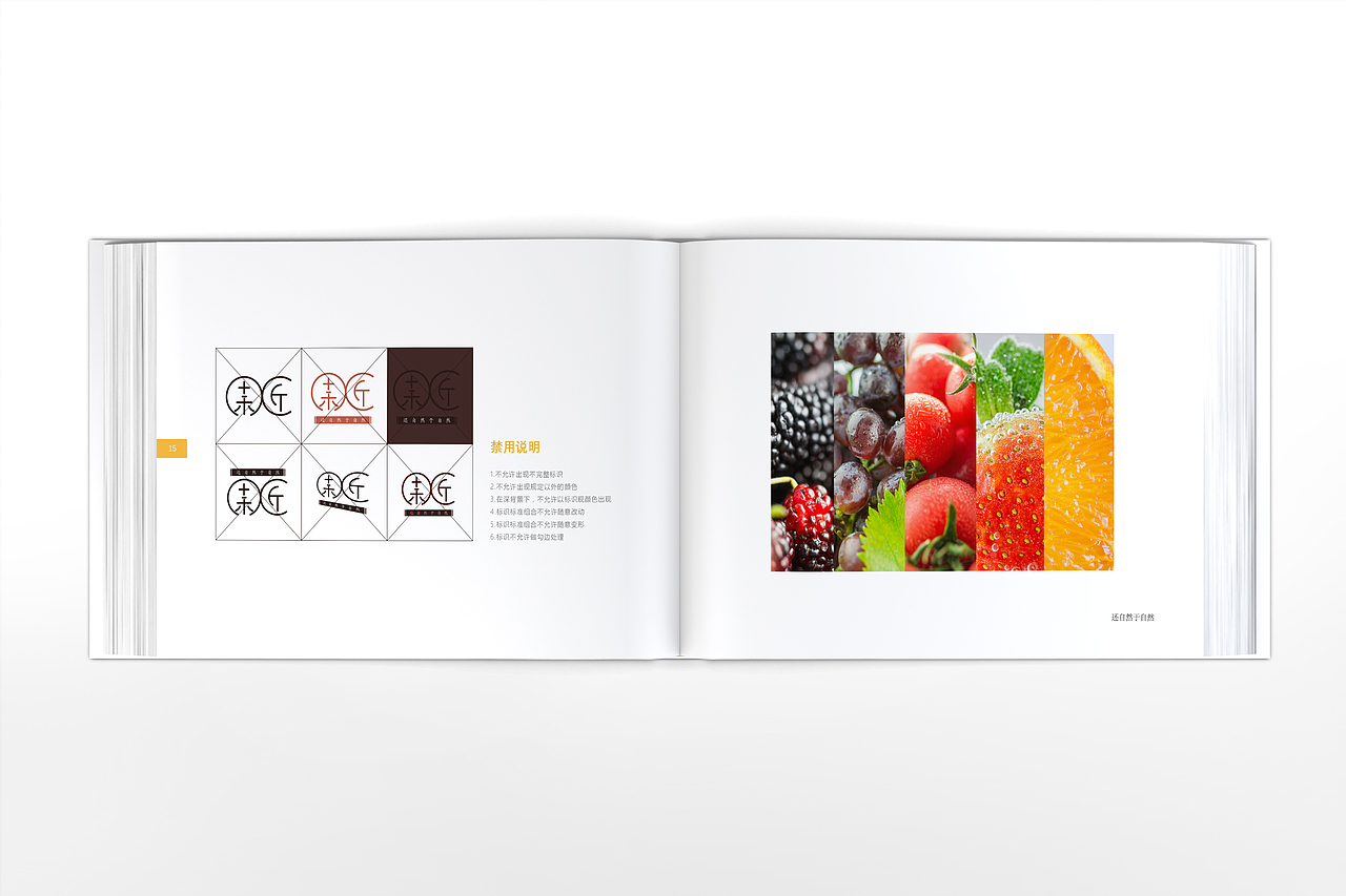 《 果 匠 》—还自然于自然, 品牌设计