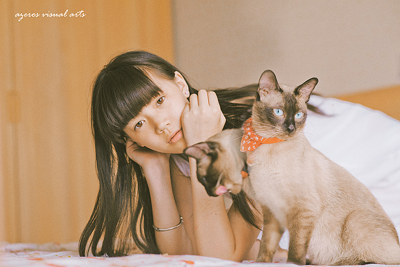 一只妄想症的猫（图ZOTkwNDA5Ng==） - 人像摄影 - 站酷设计师海螺壳原创素材 - 站酷ZCOOL