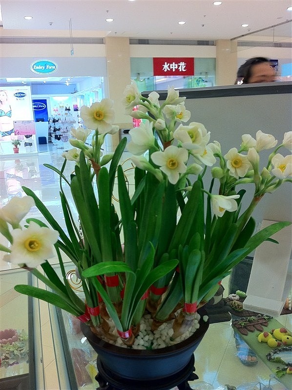 粘土花卉（图ZNDM3MDA4NjQ=） - 其他手工艺 - 站酷设计师乐漫土15原创素材 - 站酷ZCOOL
