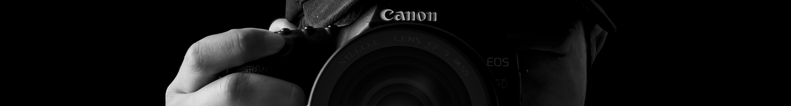 沐风Forest的个人主页（封面预览） - 主页封面设置 - 站酷设计师沐风Forest原创素材 - 站酷ZCOOL