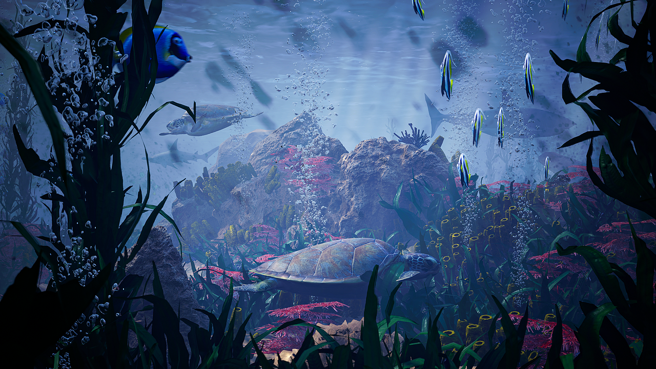 虚幻引擎海洋动画（图ZMzI2NjQwMzU2） - 动画/影视 - 站酷设计师百里02原创素材 - 站酷ZCOOL