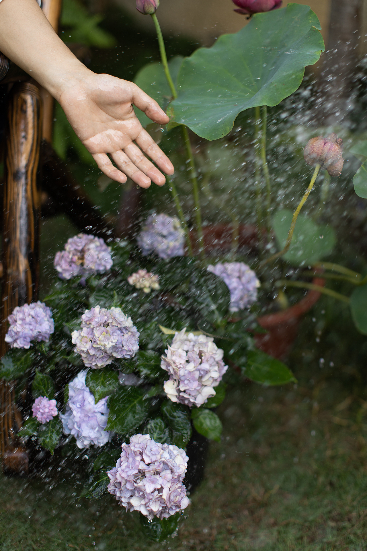 世间万物都在治愈你,你要做好你自己