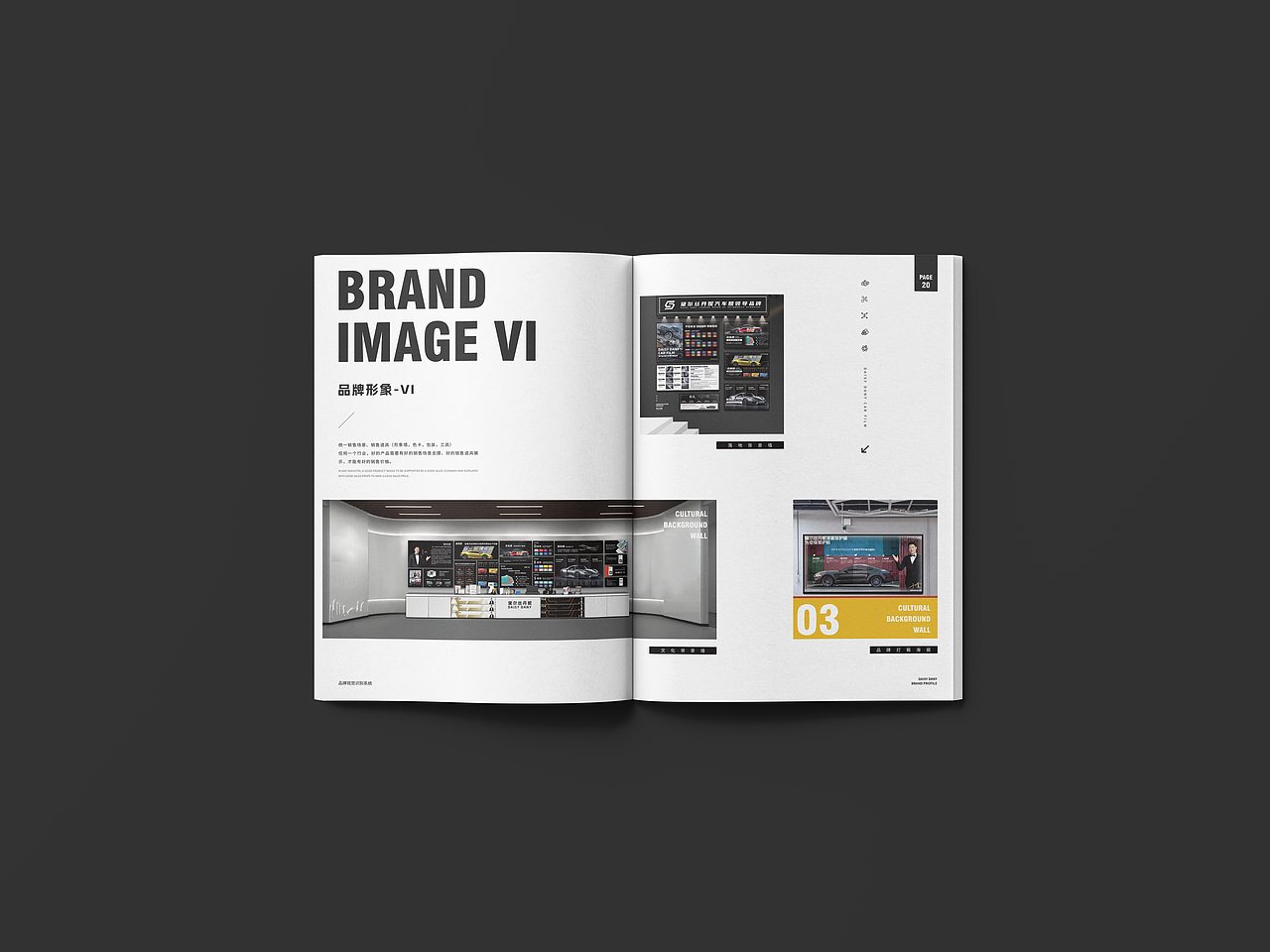 黛尔丝丹妮汽车贴膜画册设计