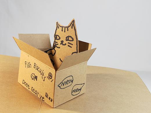 和孩子一起做的手工立体书《Surprise Box》