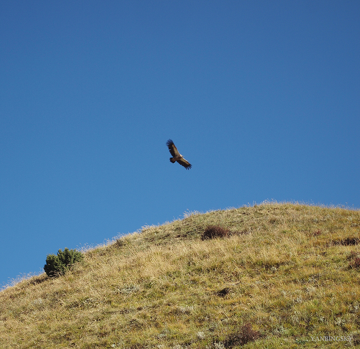 行迹2010-2012（图ZMzg3MDI1NzY=） - 风光摄影 - 站酷设计师YANBINGSKY原创素材 - 站酷ZCOOL