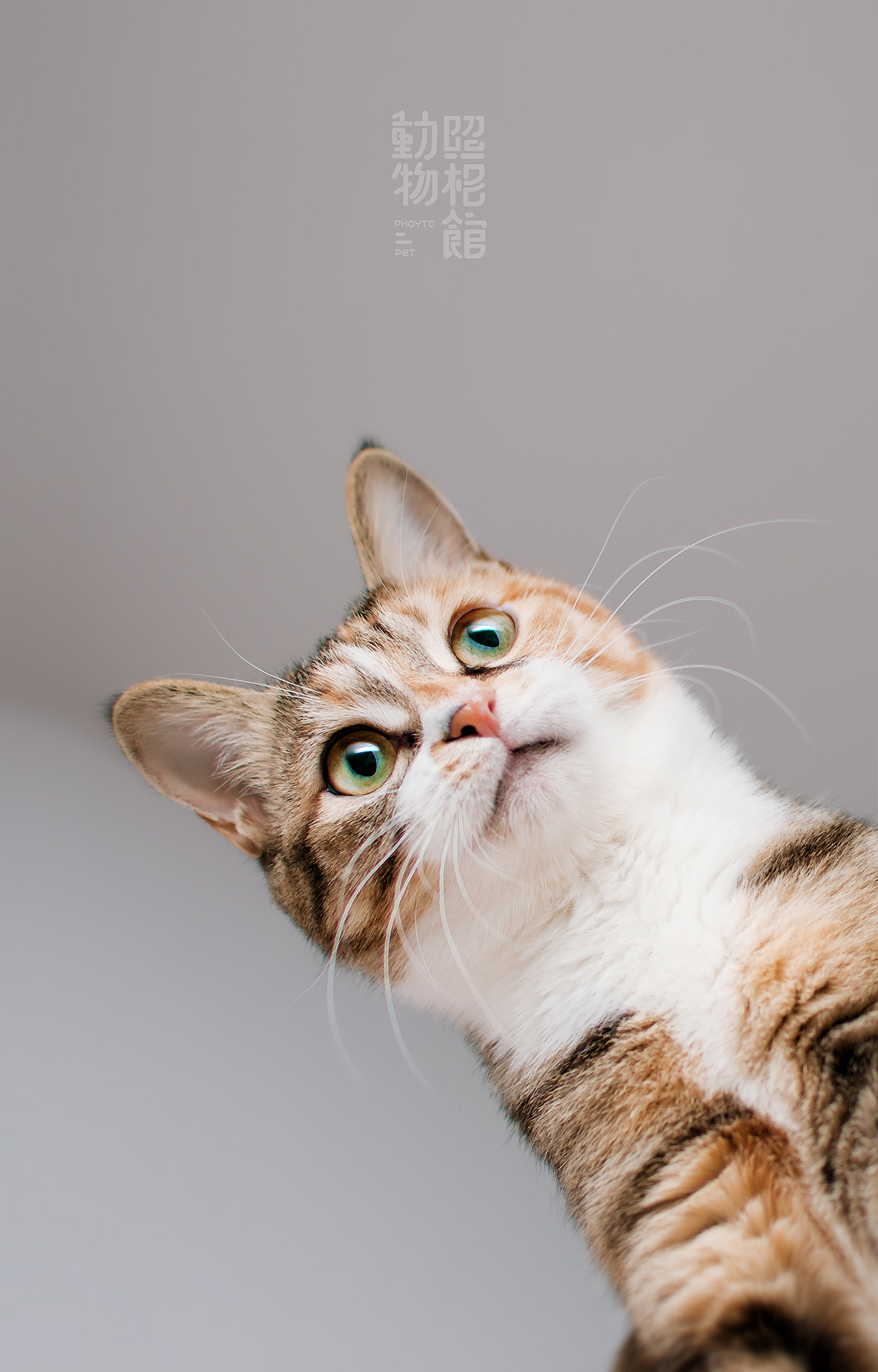 【動物照相館】母与子贰