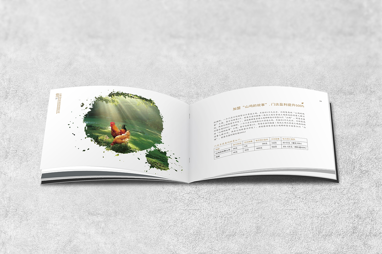 山鸡的故事加盟合作指南