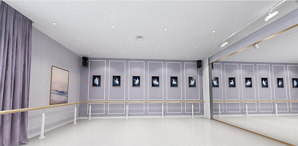 莘韵六月舞蹈艺术教育机构品牌形象设计