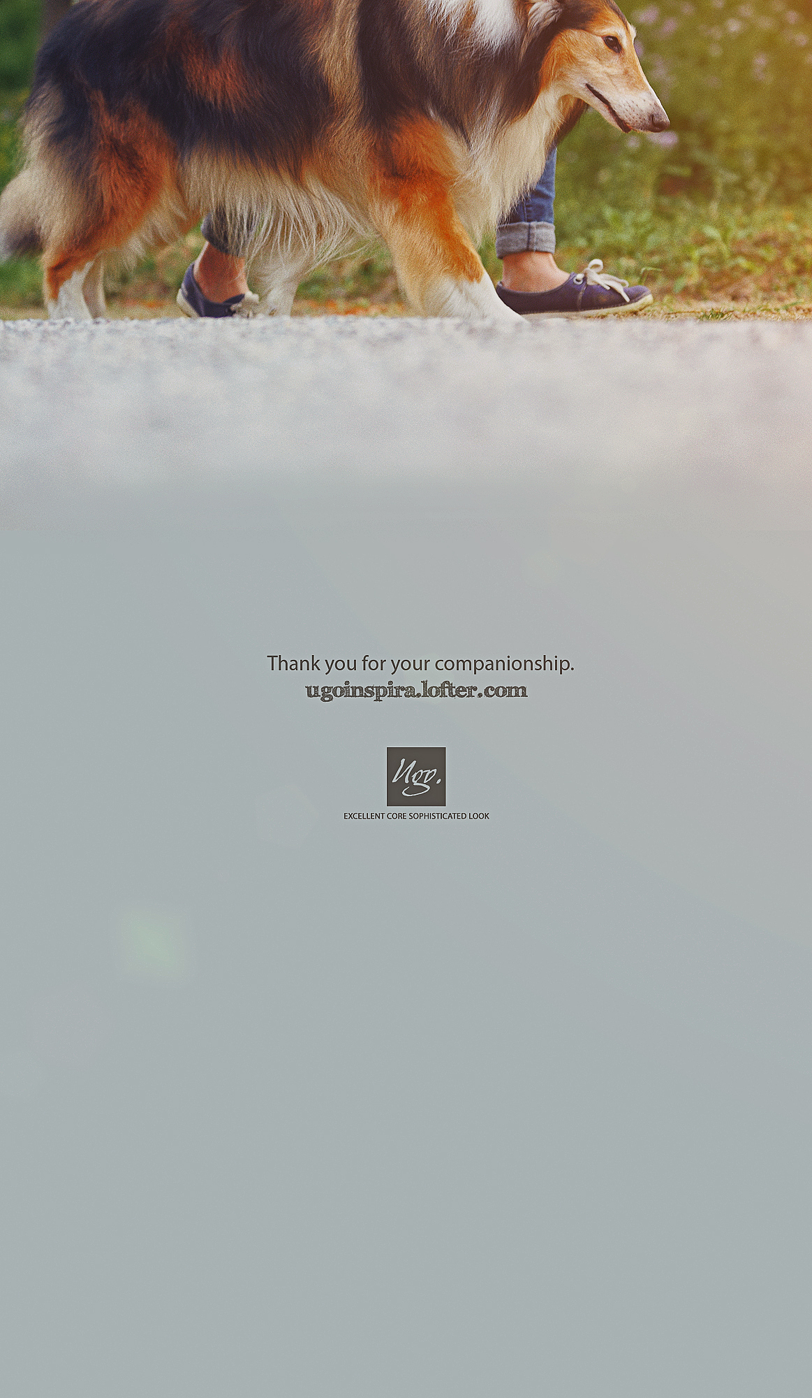 我猜我们见过面.恩?【动物摄影师何某某个人作品2】