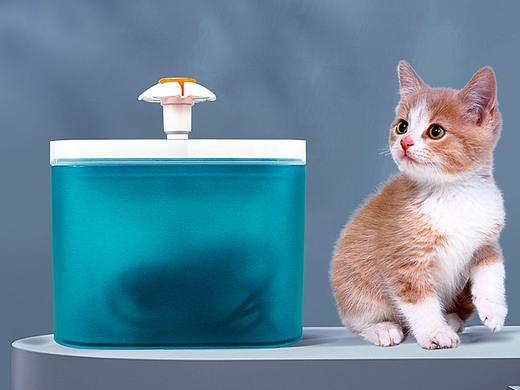 猫饮水机