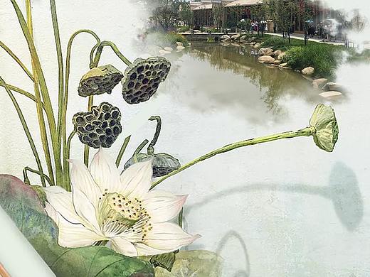 节气海报