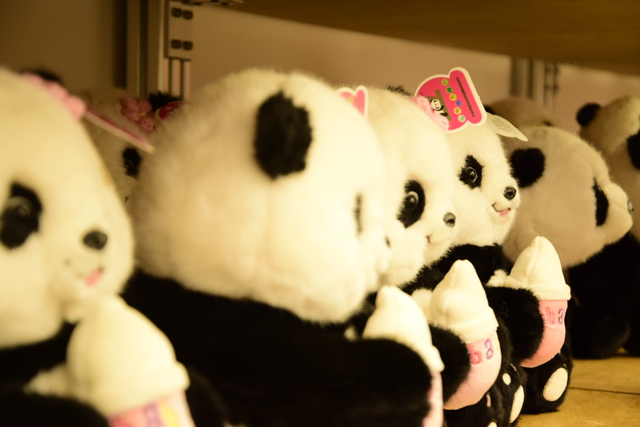 成都扫街|尼康d5300