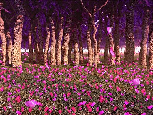 桃花林梦幻素材,粉色花瓣,浪漫全息投影素材