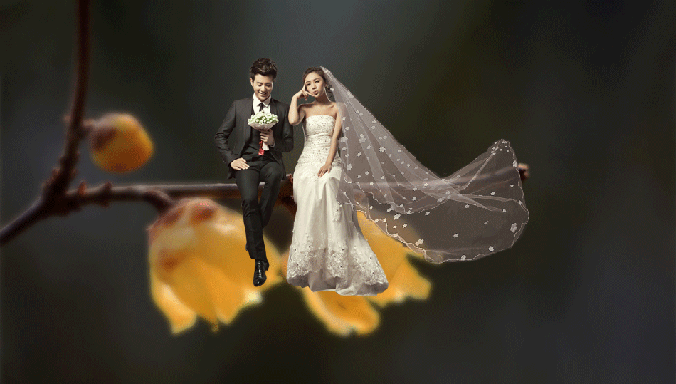 个人初级集合作品整理（图ZMTcxMjEwNTIw） - 图案 - 站酷设计师南阳阁原创素材 - 站酷ZCOOL