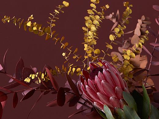 家具家居摄影-圣诞专题