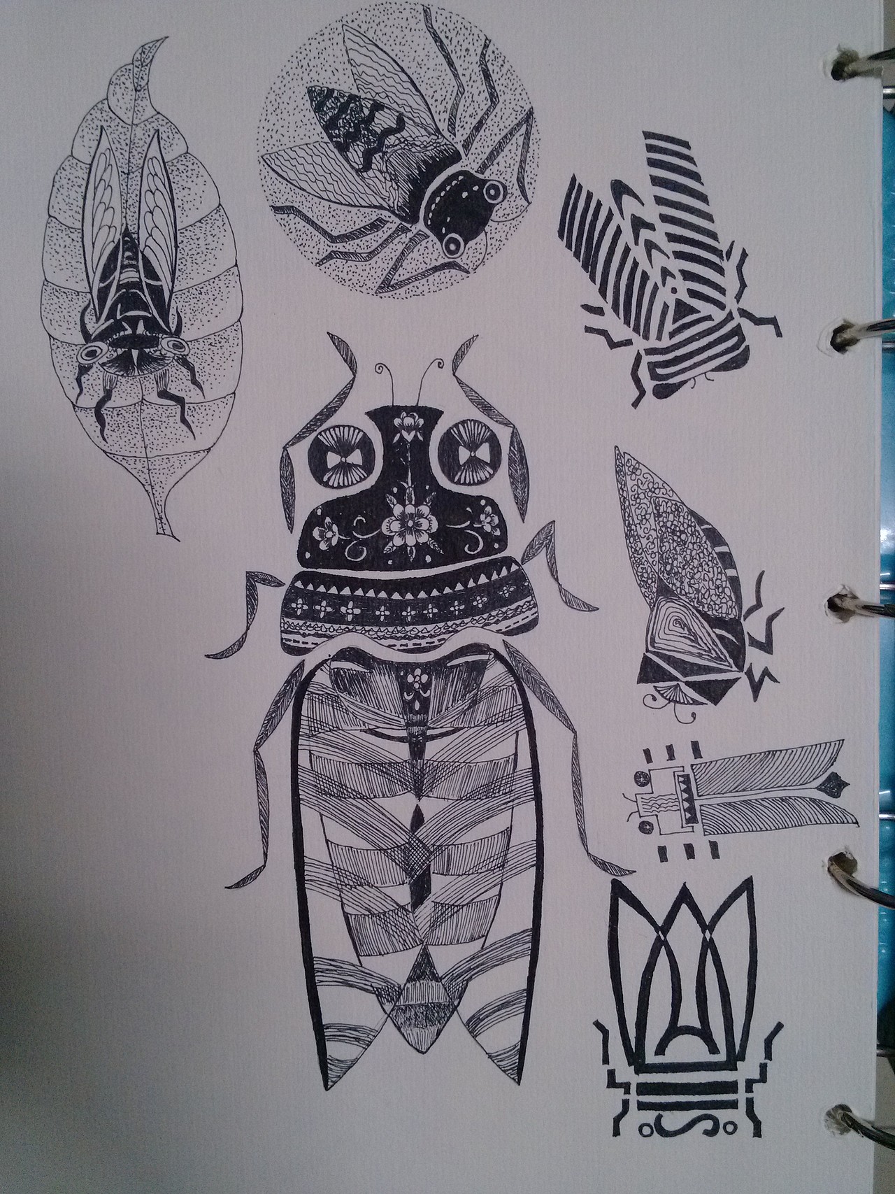 钢笔速写（图ZNTk1NjMzNjg=） - 艺术插画 - 站酷设计师甲甲玲原创素材 - 站酷ZCOOL