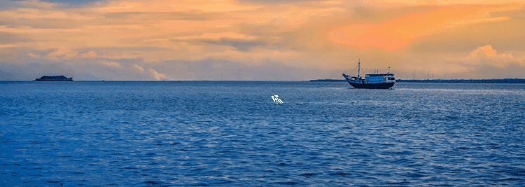 木子瑾瑜的个人主页（封面预览） - 主页封面设置 - 站酷设计师木子瑾瑜原创素材 - 站酷ZCOOL