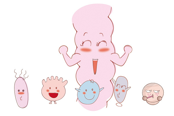 肠道里的益生菌（图ZMTczNjk2MDA=） - 商业插画 - 站酷设计师yoyospapa原创素材 - 站酷ZCOOL