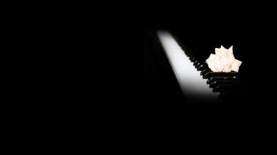 伊苏幹的个人主页（封面预览） - 主页封面设置 - 站酷设计师伊苏幹原创素材 - 站酷ZCOOL