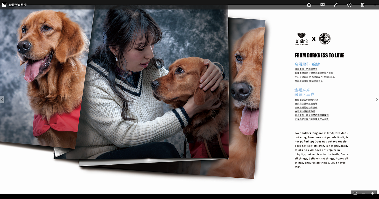 为中国导盲犬而战