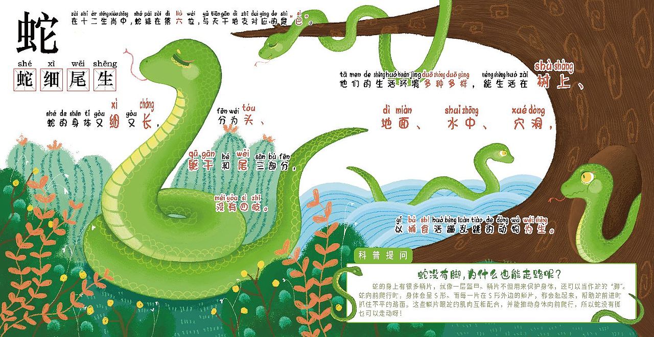 《十二生肖》儿童科普绘本