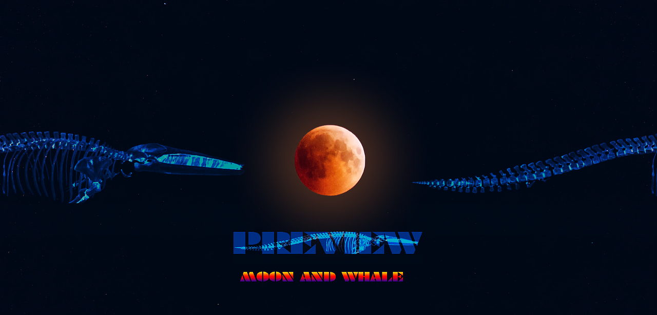 一鲸落，万物生（图ZMjE3NjQzNjY0） - 家装设计 - 站酷设计师HansChen07原创素材 - 站酷ZCOOL