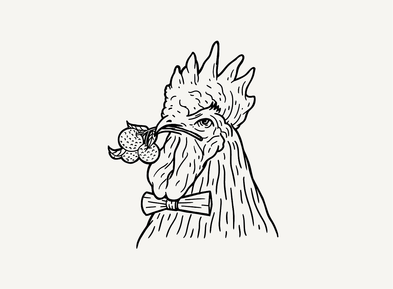 炒鸡公司