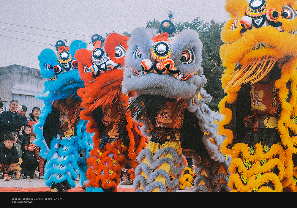 舞狮_摄影师萝栗-站酷zcool