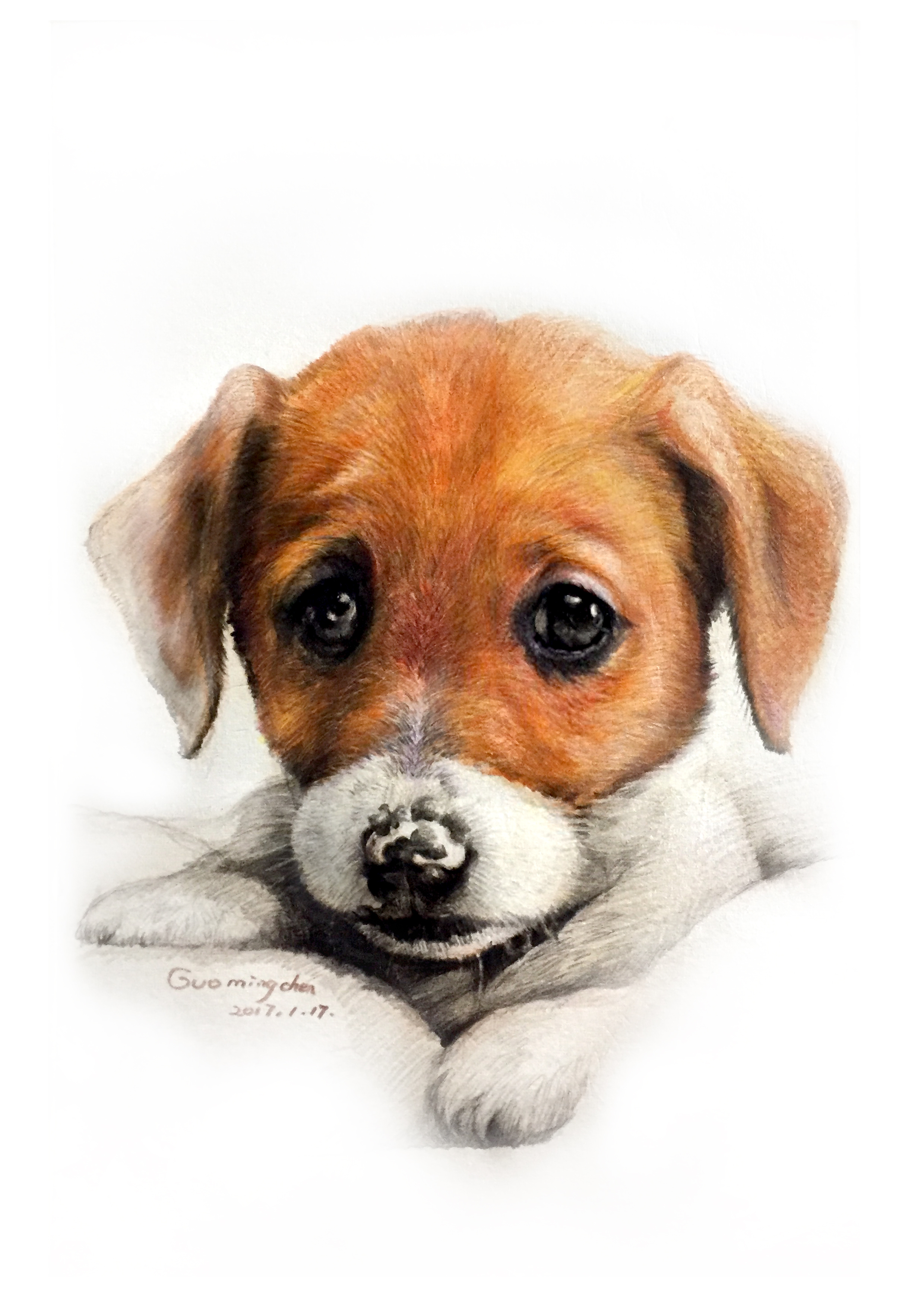 汪汪|纯艺术|彩铅|ming__c - 原创作品 - 站酷 (zcool)