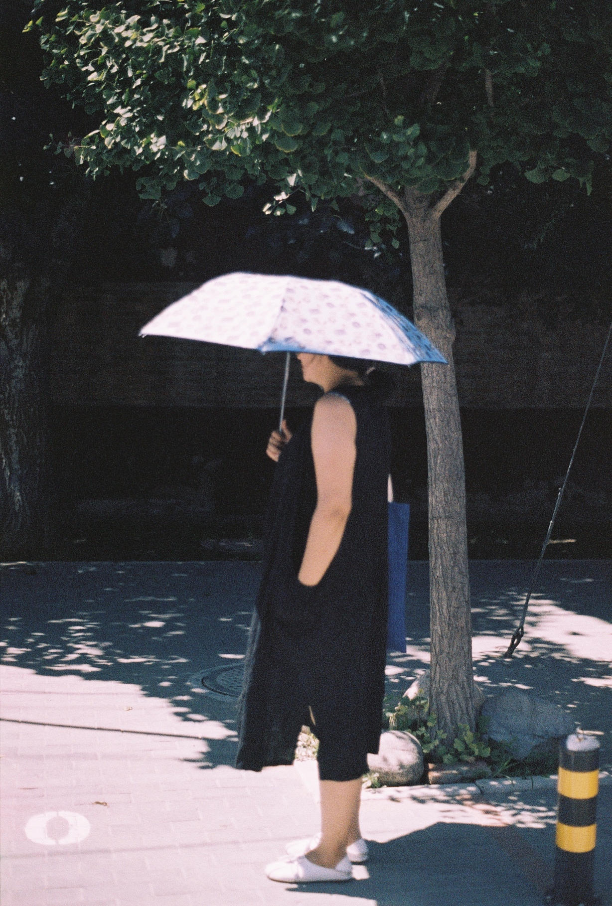 第一卷胶片（图ZOTY1NzI4NTY=） - 人像摄影 - 站酷设计师shanna311982原创素材 - 站酷ZCOOL