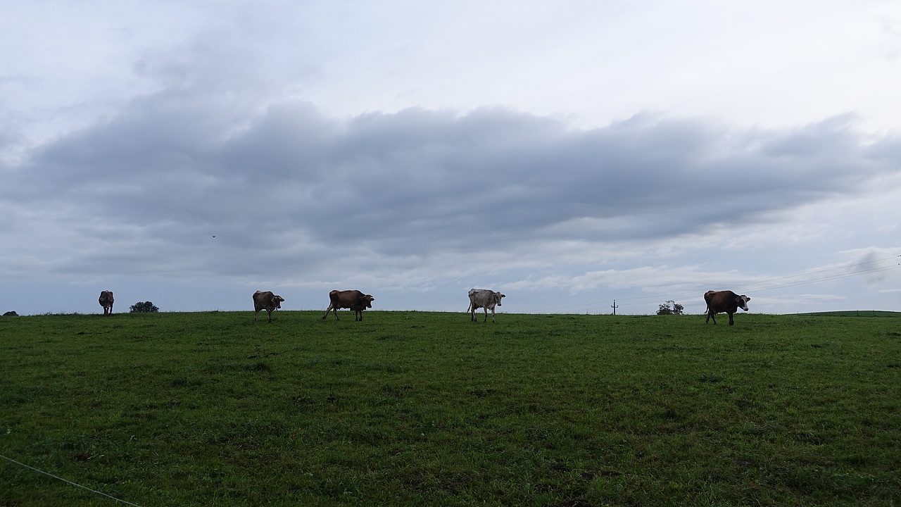 做个背包去旅行