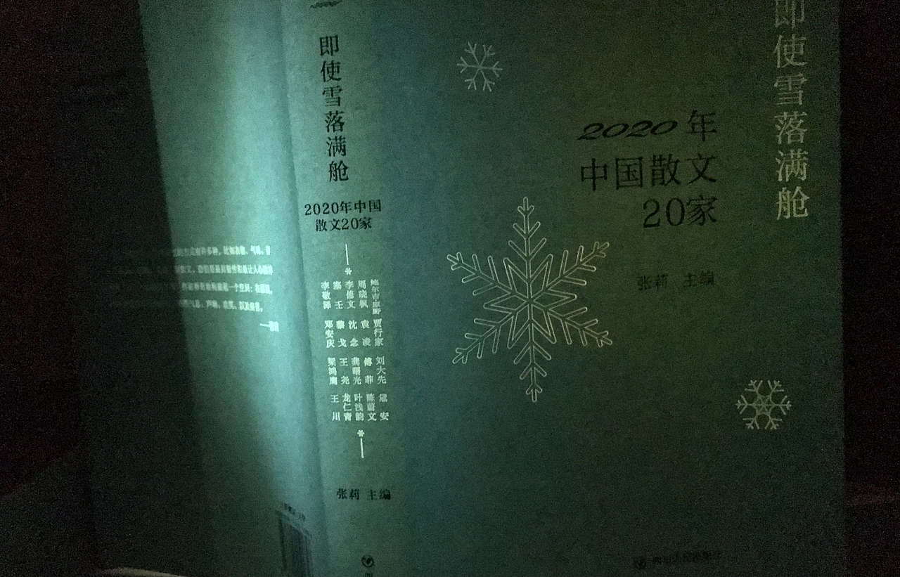 图书装帧设计-2021(图ZMjc5NTMzMzg0) - 书籍/画册 - 站酷设计师李齊飛原创素材 - 站酷ZCOOL
