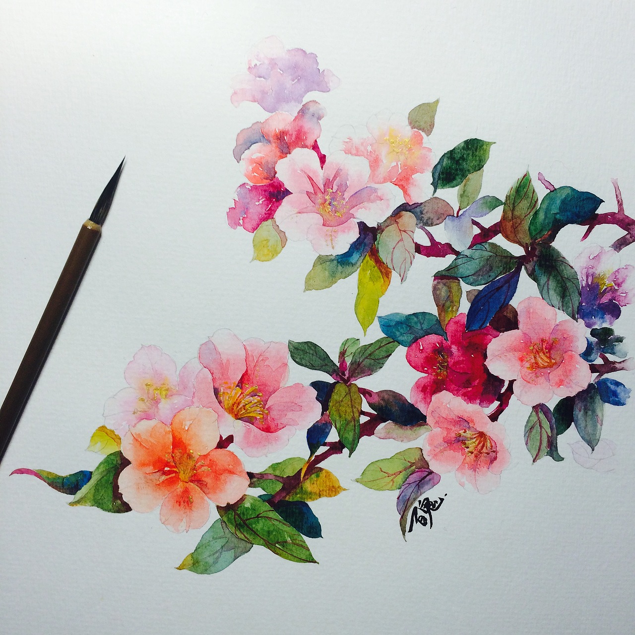 水彩杜鹃花的绘画详细过程