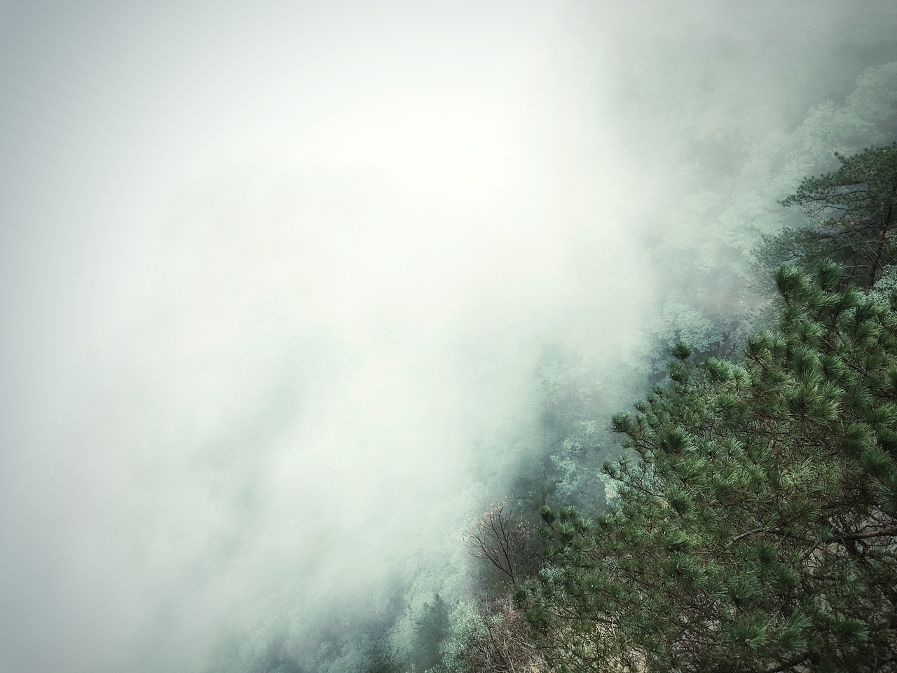 iphone6s 摄影（图ZNzQ2NzA1MzI=） - 风光摄影 - 站酷设计师神奇芋头原创素材 - 站酷ZCOOL