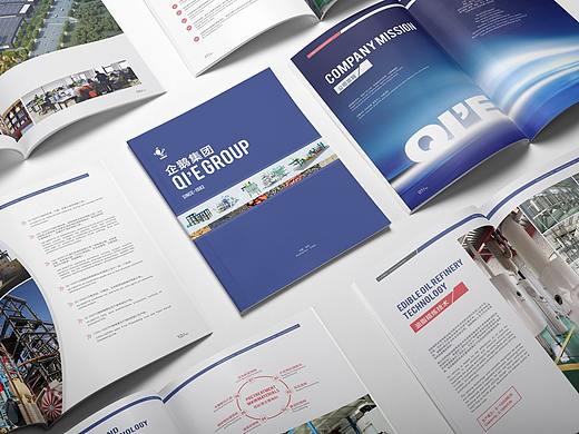 平面设计/产品宣传画册/VI画册/宣传