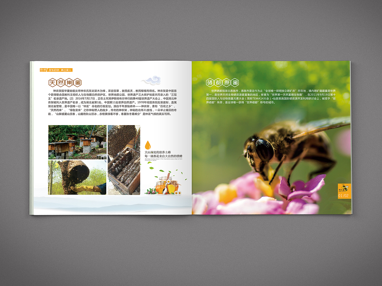 蜂蜜画册|平面|书籍/画册|檀小豆_原创作品-站酷zcool