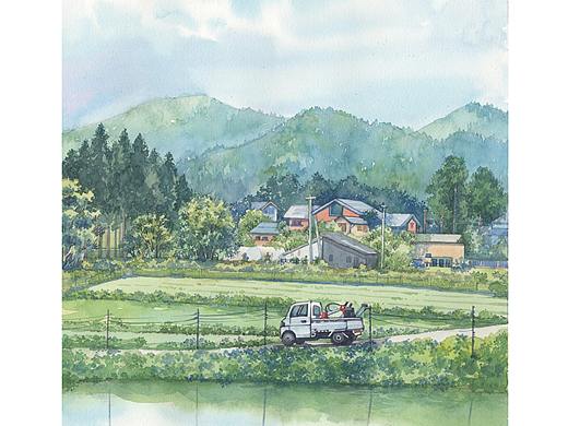 乡间小路