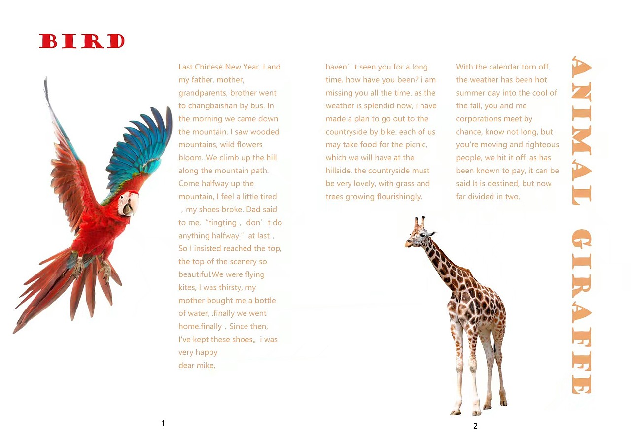 animal world（图ZOTc3MTQ0OTI=） - 书籍/画册 - 站酷设计师甯啊甯呀原创素材 - 站酷ZCOOL