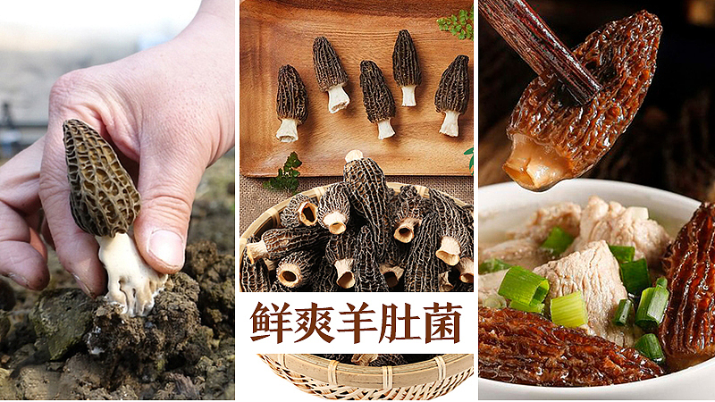 3（图ZMjE5MzUwNzMy） - 海报 - 站酷设计师嗯哼11111111原创素材 - 站酷ZCOOL