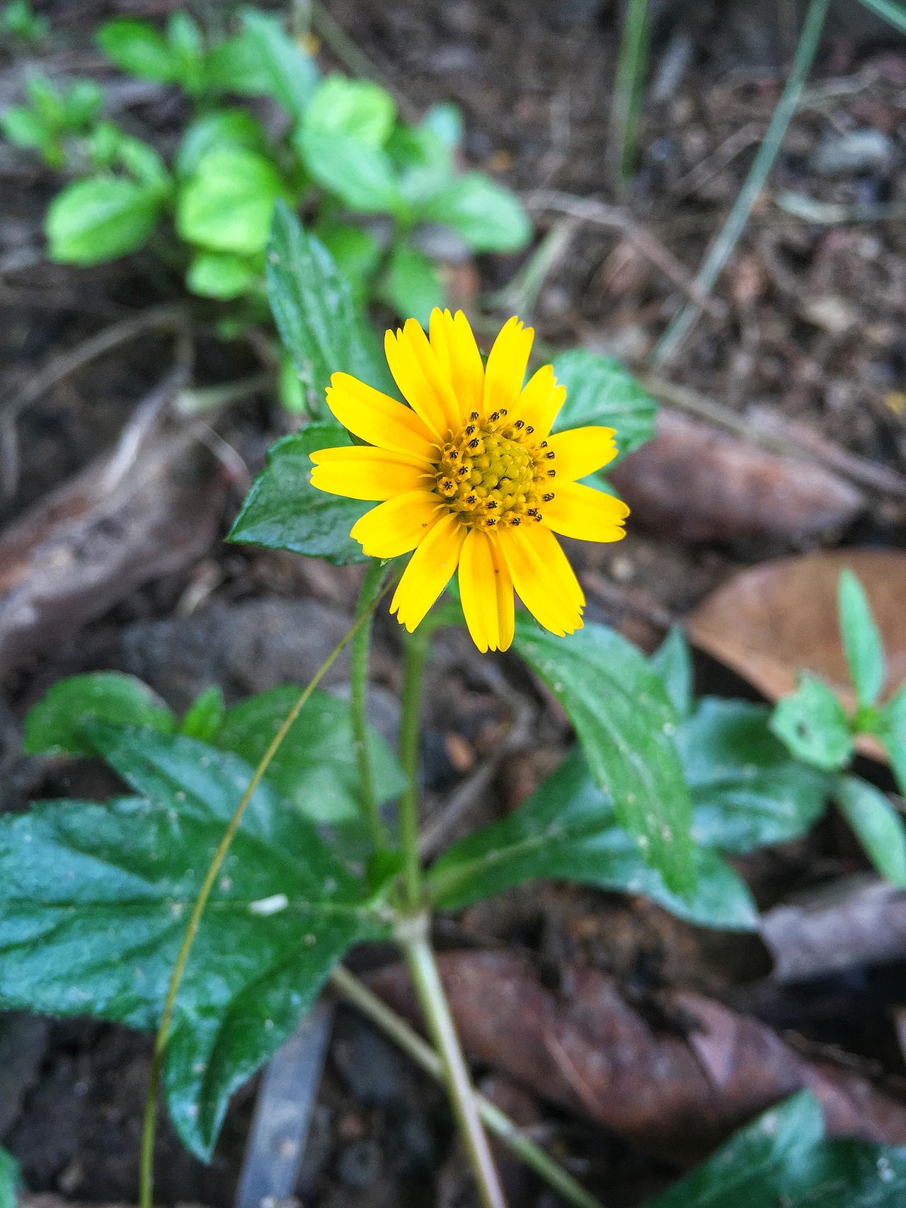 镜头下的微厦门
