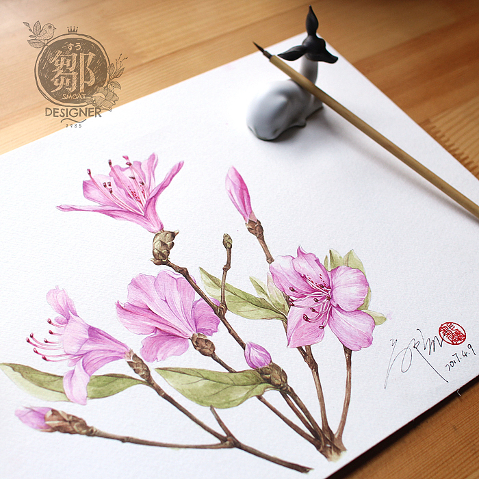 杜鹃花系列——华丽杜鹃(图ZNzc5OTI4NDA=) - 商业插画 - 站酷设计师鄒慶原创素材 - 站酷ZCOOL