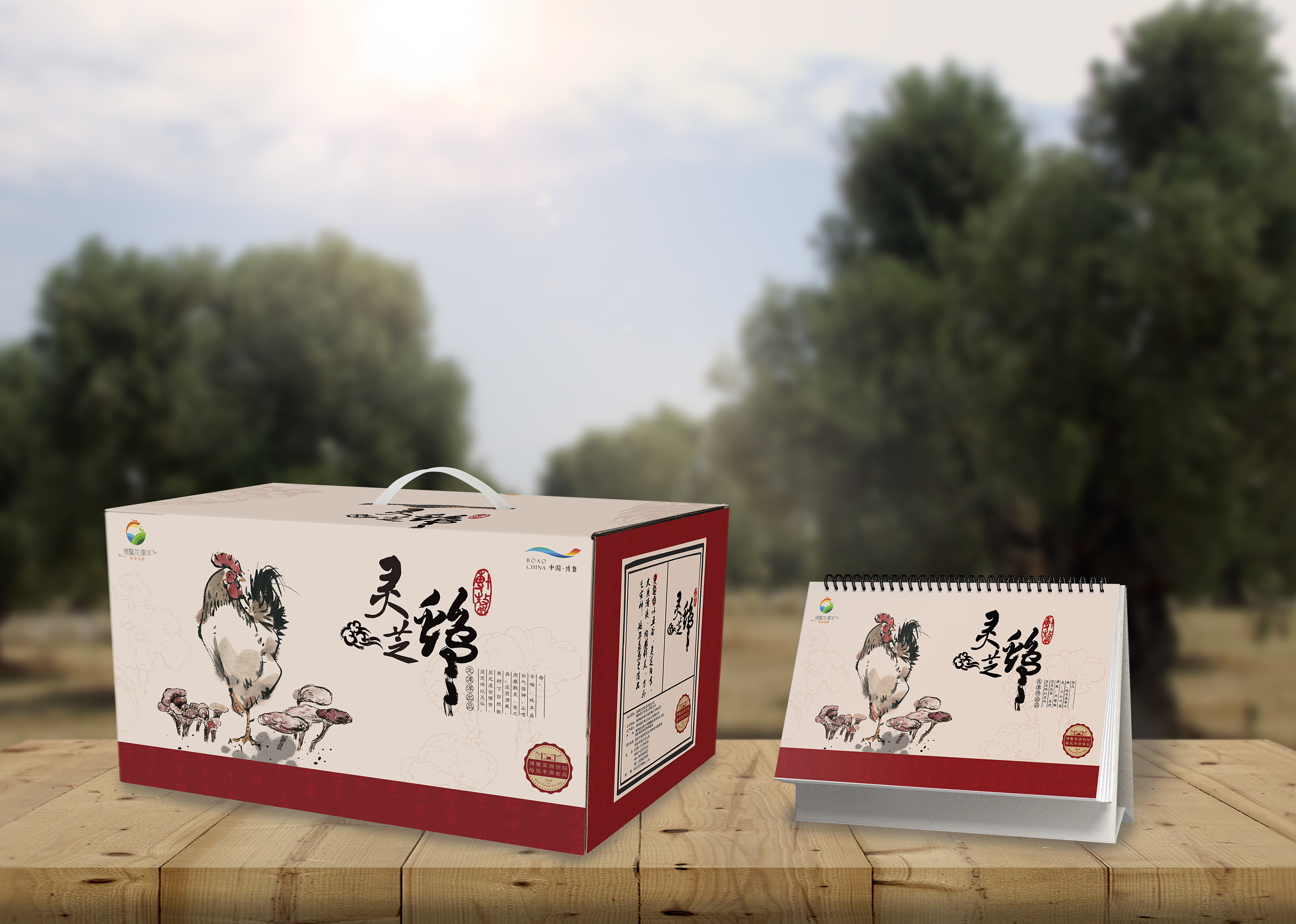 海南灵芝鸡包装设计