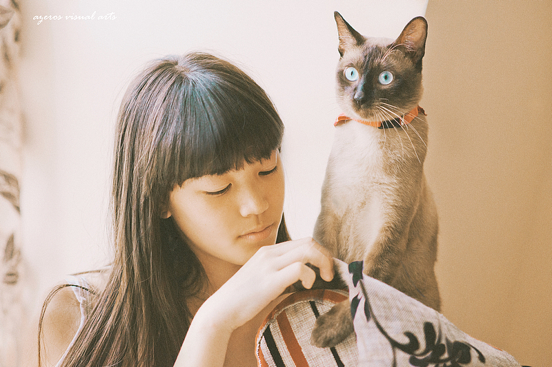 一只妄想症的猫（图ZOTkwNDEwNA==） - 人像摄影 - 站酷设计师海螺壳原创素材 - 站酷ZCOOL