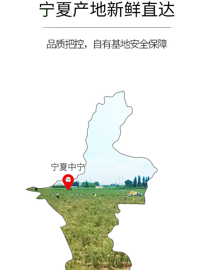 枸杞详情页（图ZMjIxMTM0Mzg4） - 电商 - 站酷设计师霜霜设计原创素材 - 站酷ZCOOL