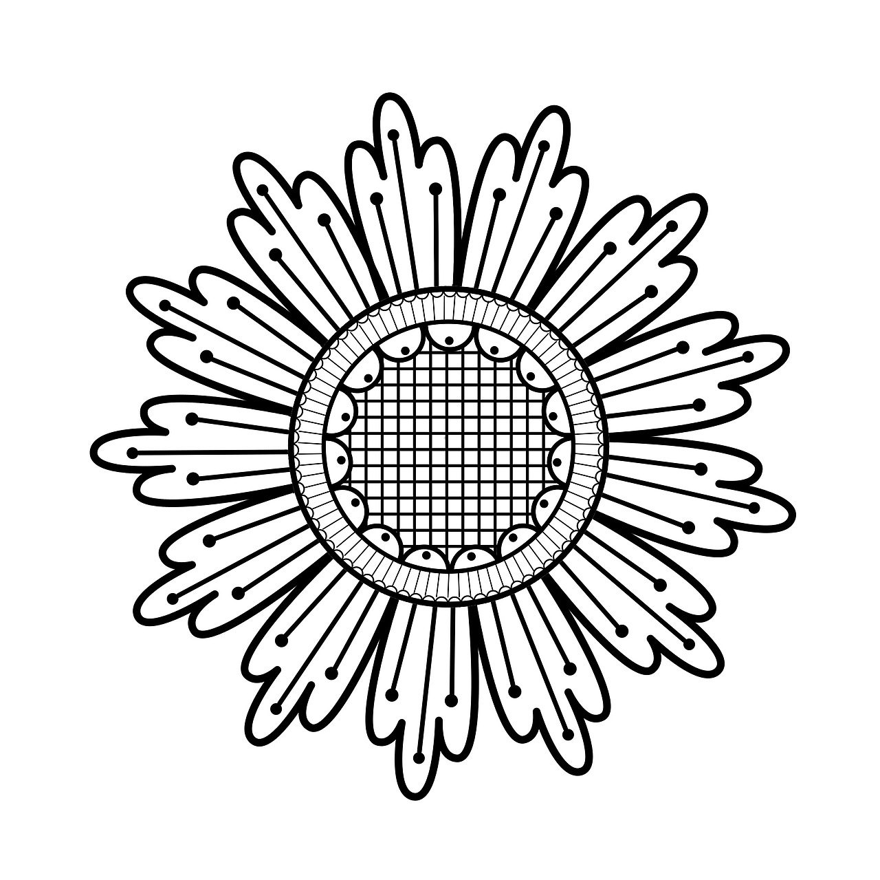 菊花|平面|图案|crazy时光_临摹作品-站酷zcool