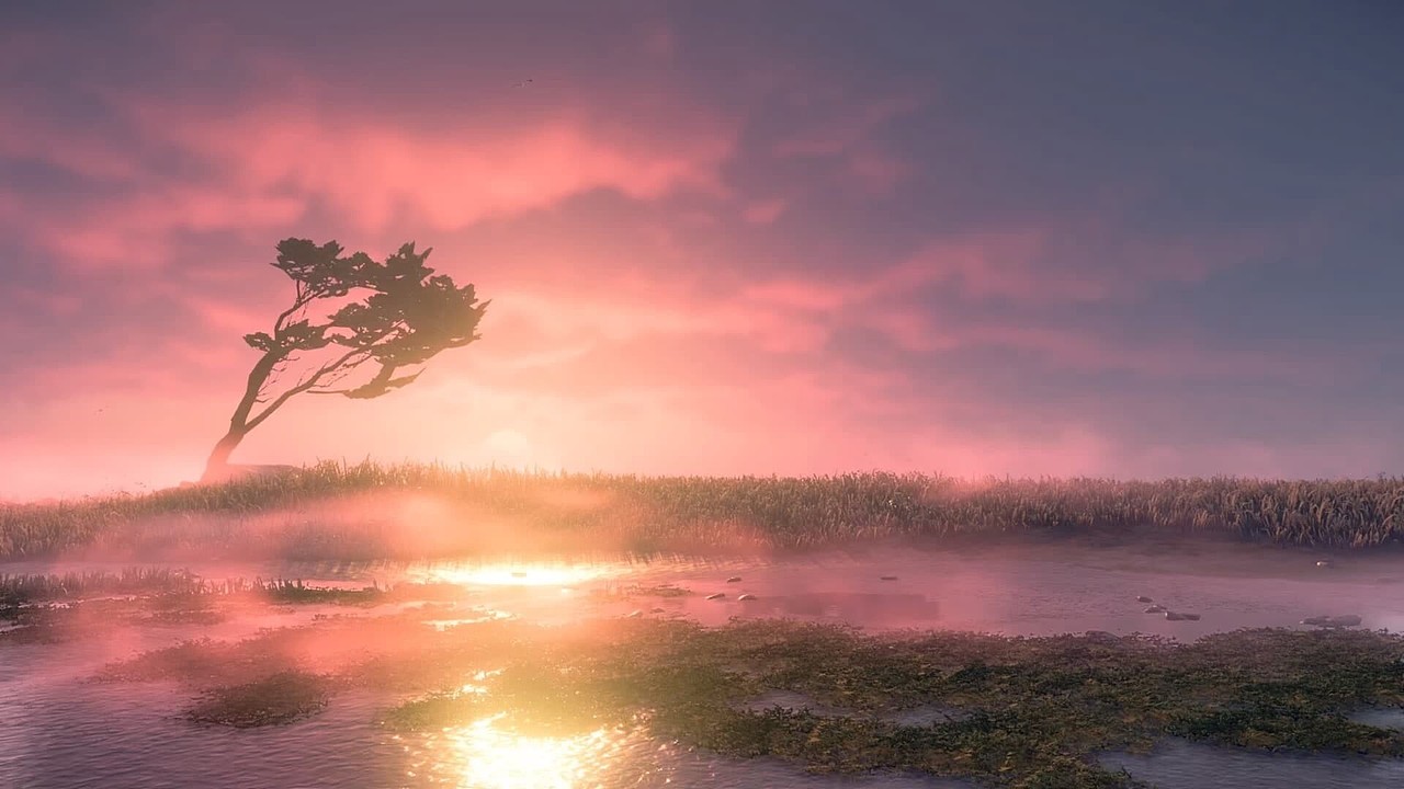 对马岛之魂孤独的树动态壁纸