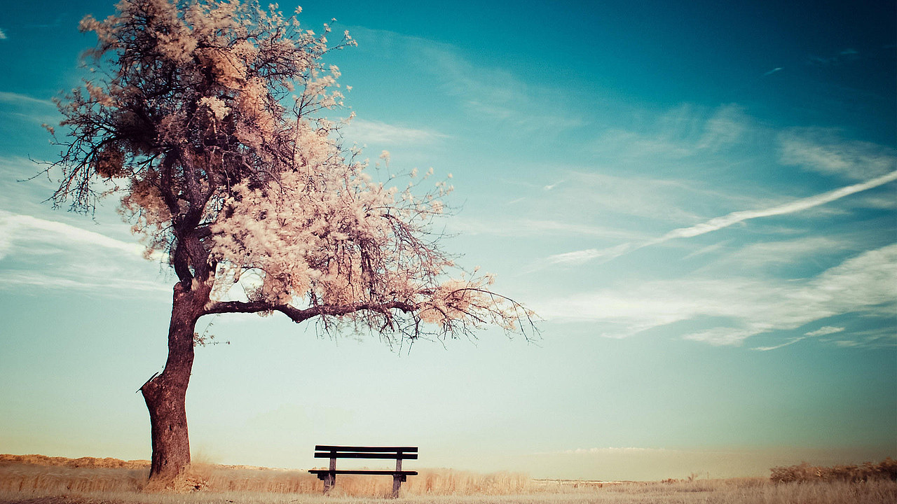 自然风景摄影集