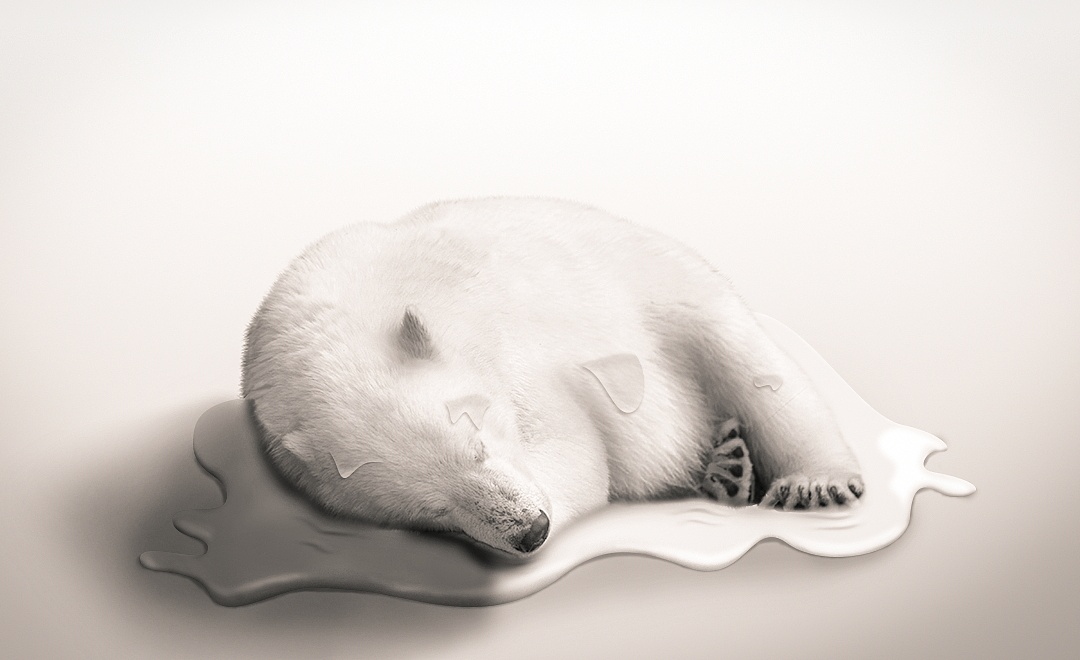 北极熊融化(临摹)