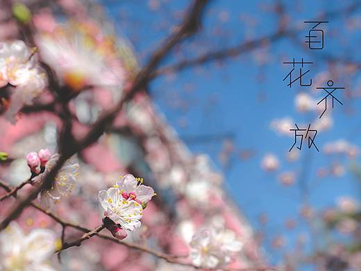 夏至未至字体设计